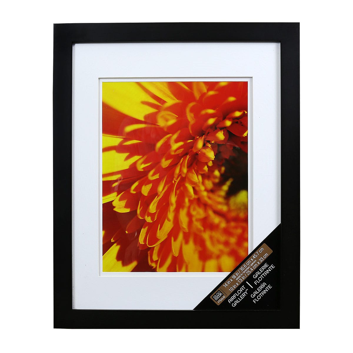 Gallery Black Wall Frame with Double Mat by Studio Décor®