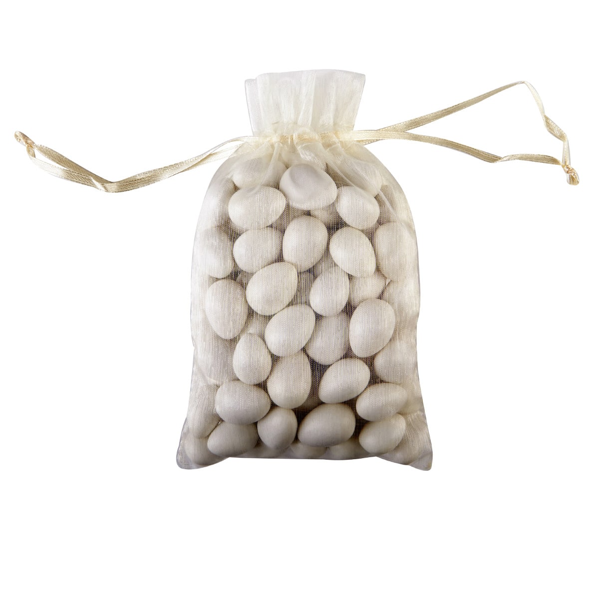 Celebrate It™ Occasions™ Organza Favor Bag