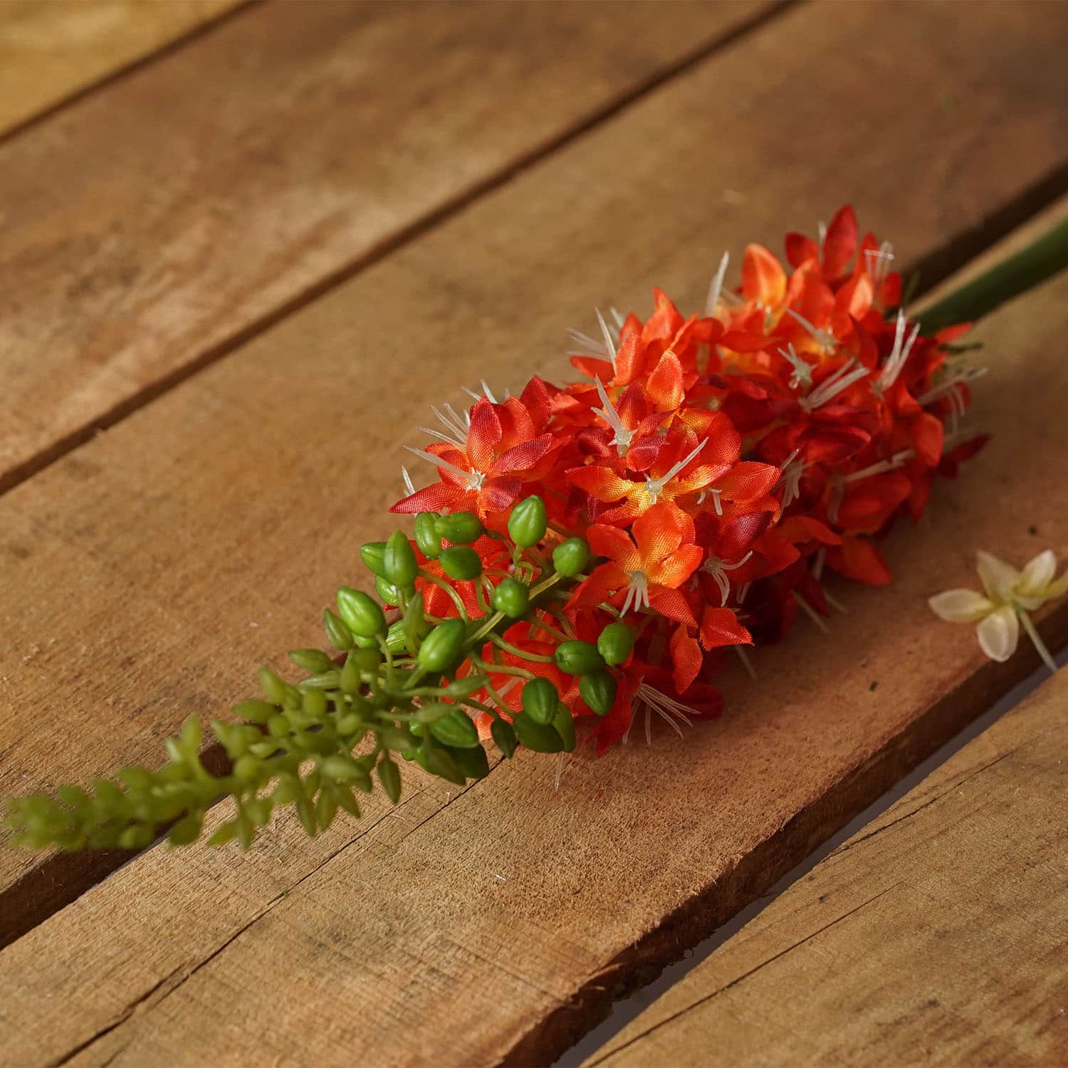 Orange and Red Foxtail Floral Crafting Stem