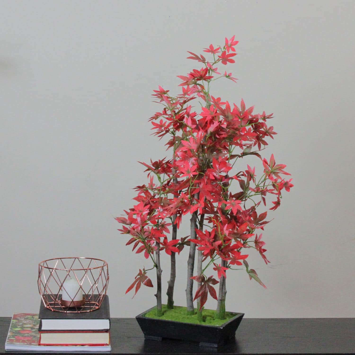 25&#x22; Bonsai-Inspired Red Leaved Japanese Maple Tree