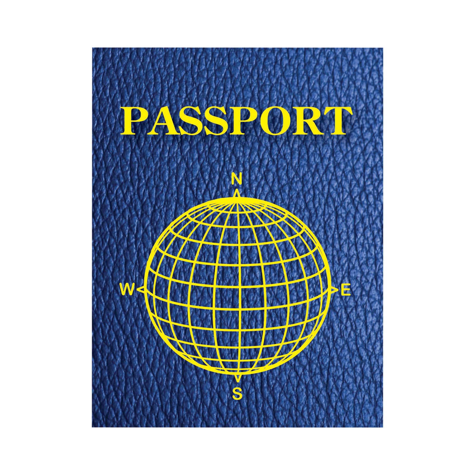 50 Packs: 12 ct. (60 total) Ashley Productions Blank Passports