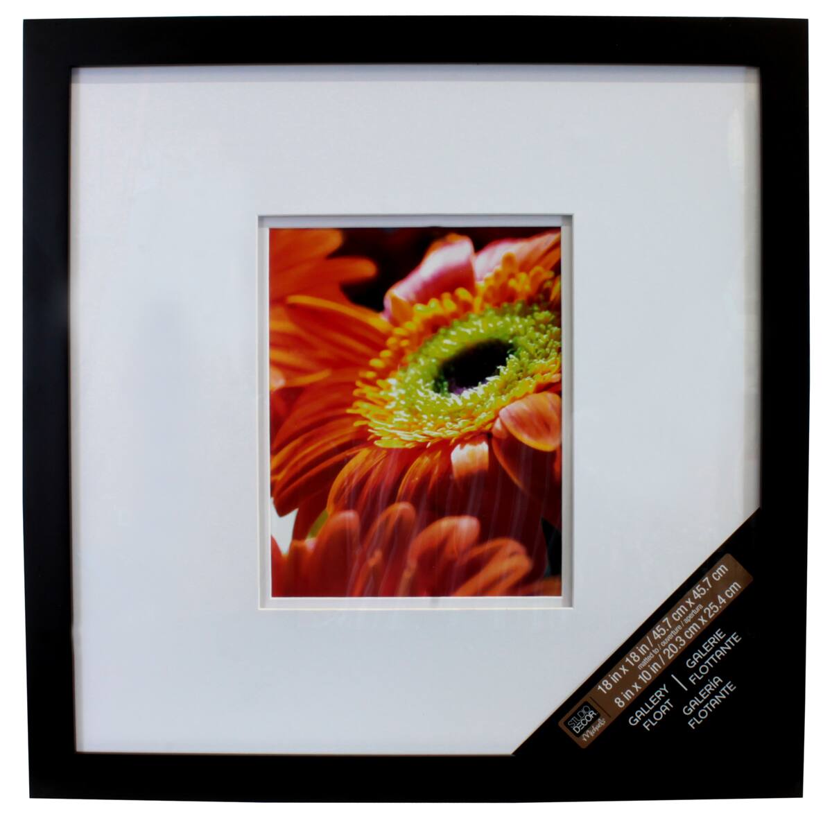 Gallery Black Square Wall Frame with Double Mat by Studio Décor®