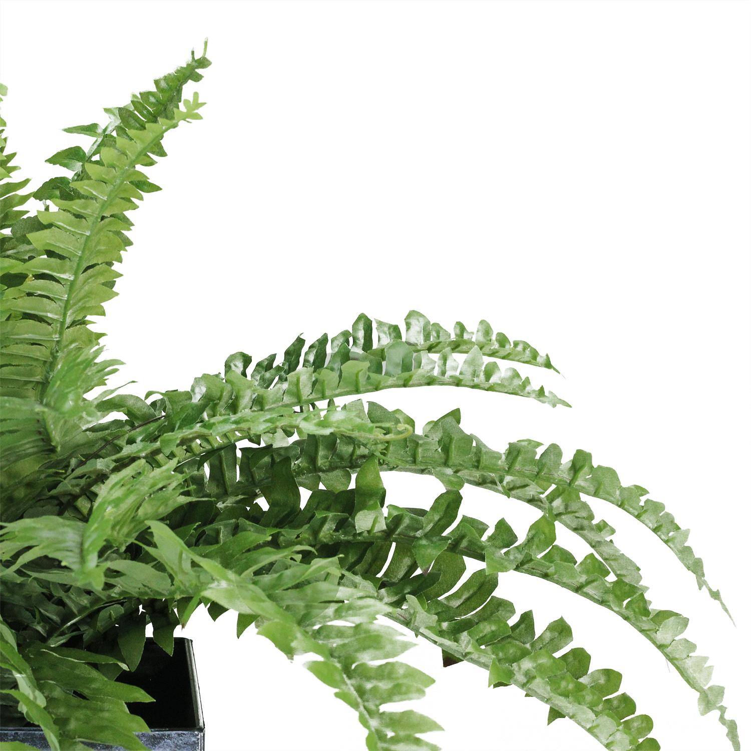 20" Green Artificial Boston Fern in Black Tin Pot
