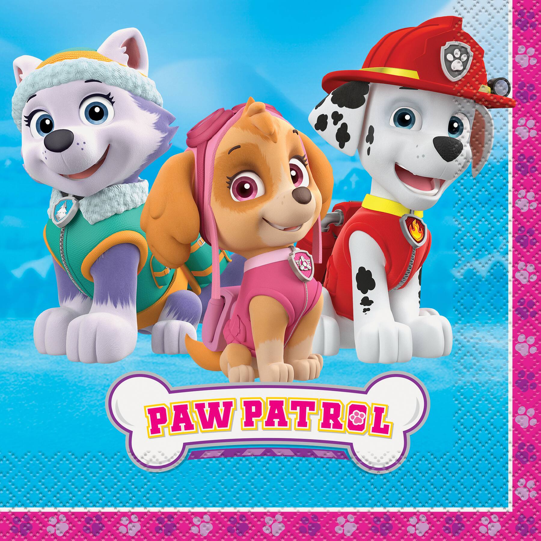 Paw Patrol Everest Iron On Transfer 5 "x 6.5" for LIGHT Colored Fabric 