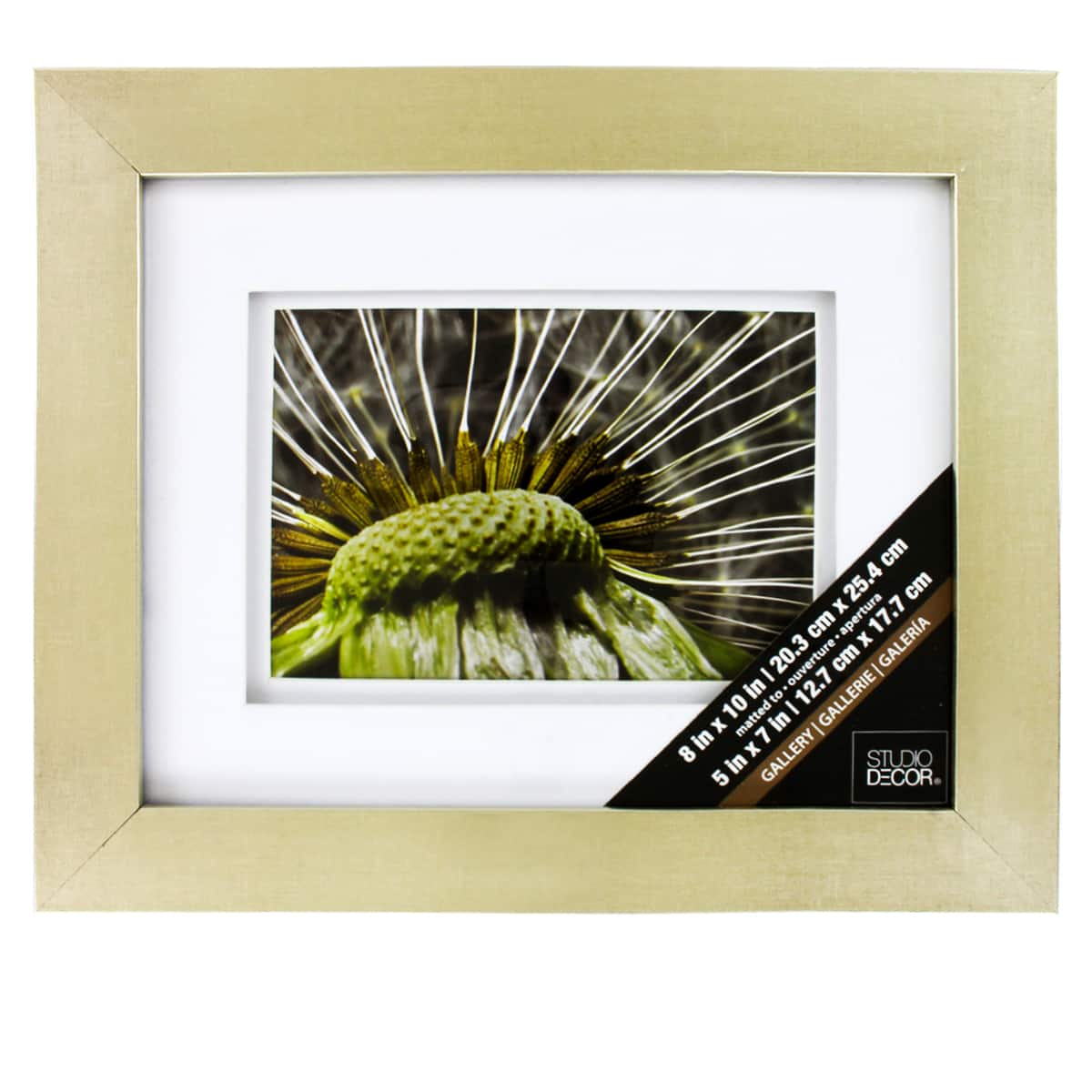 Champagne Gallery Frame with Double Mat by Studio D&#xE9;cor&#xAE;