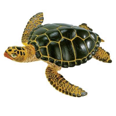 Safari Ltd® Green Sea Turtle | Michaels