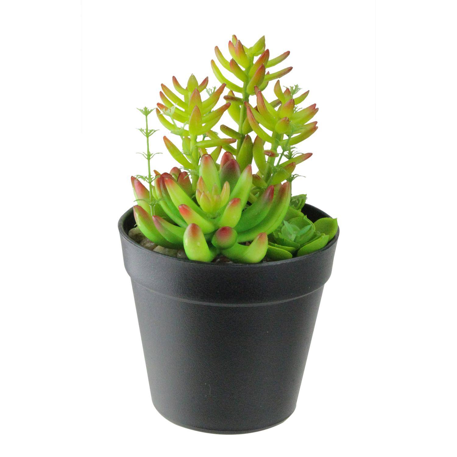 8&#x22; Artificial Variegated Succulent Plants In Pot