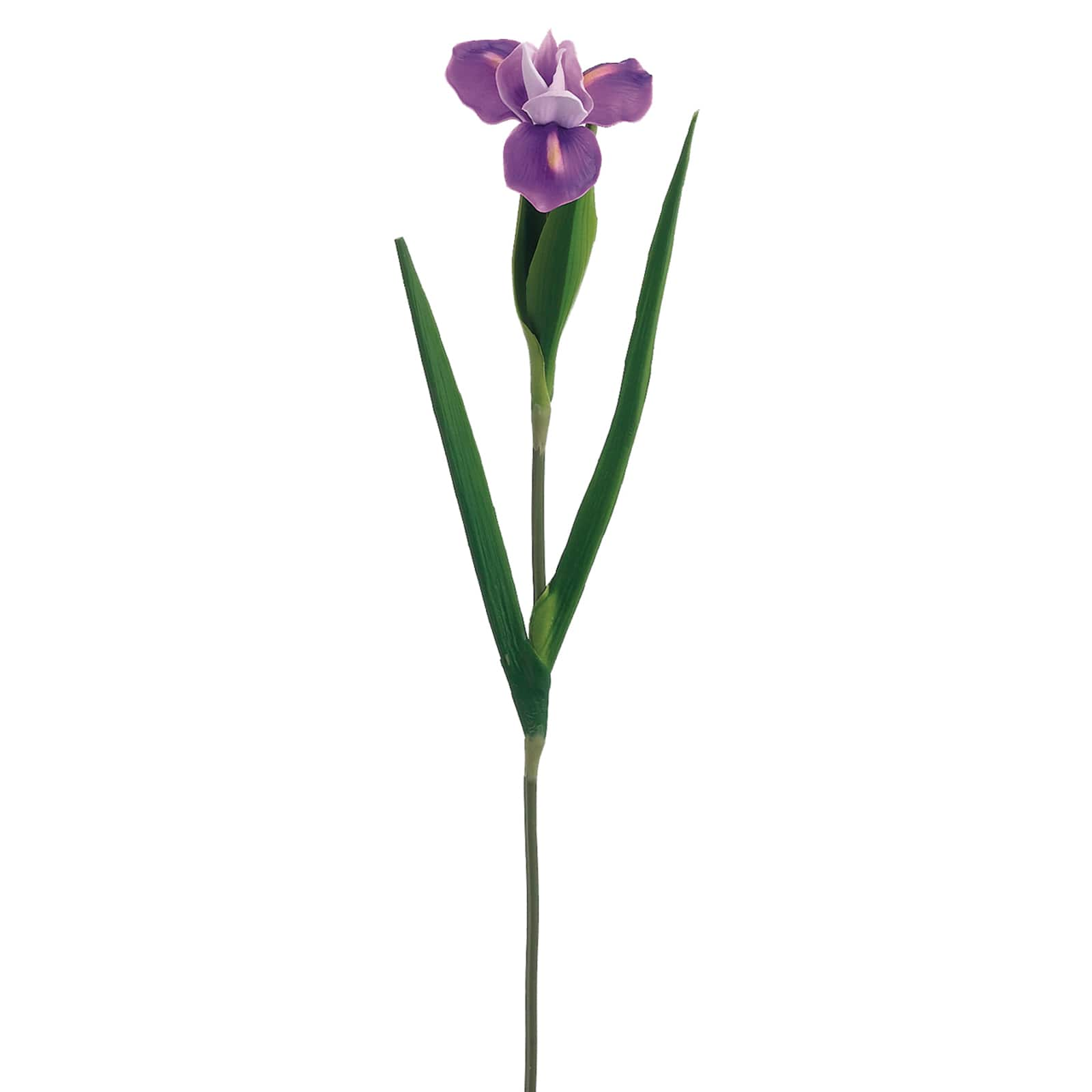 Buy the Lavender Dutch Iris Stem at Michaels