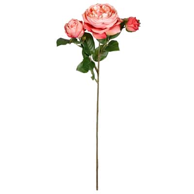 Coral English Rose Stem By Ashland® image