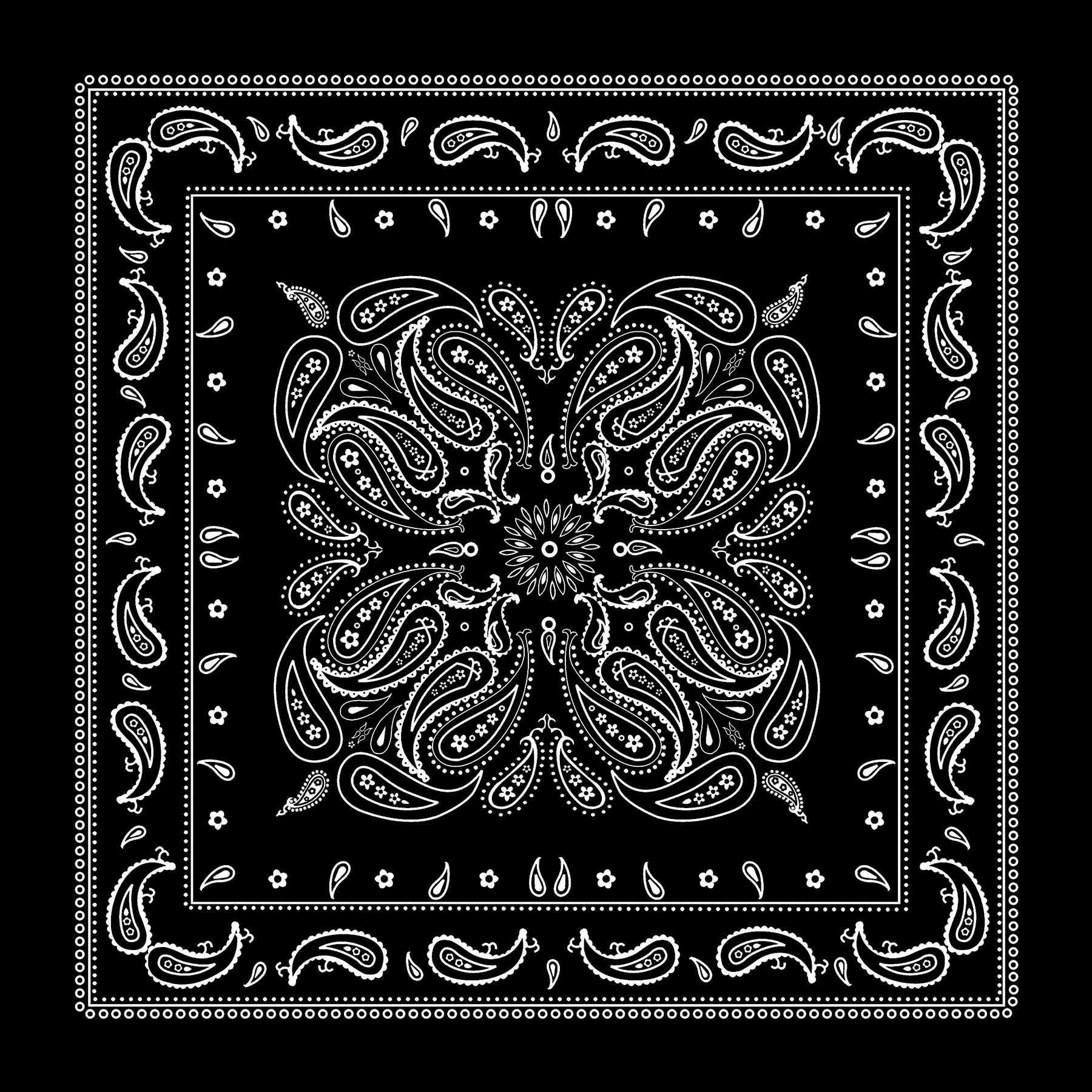 Paisley Bandana by Make Market®