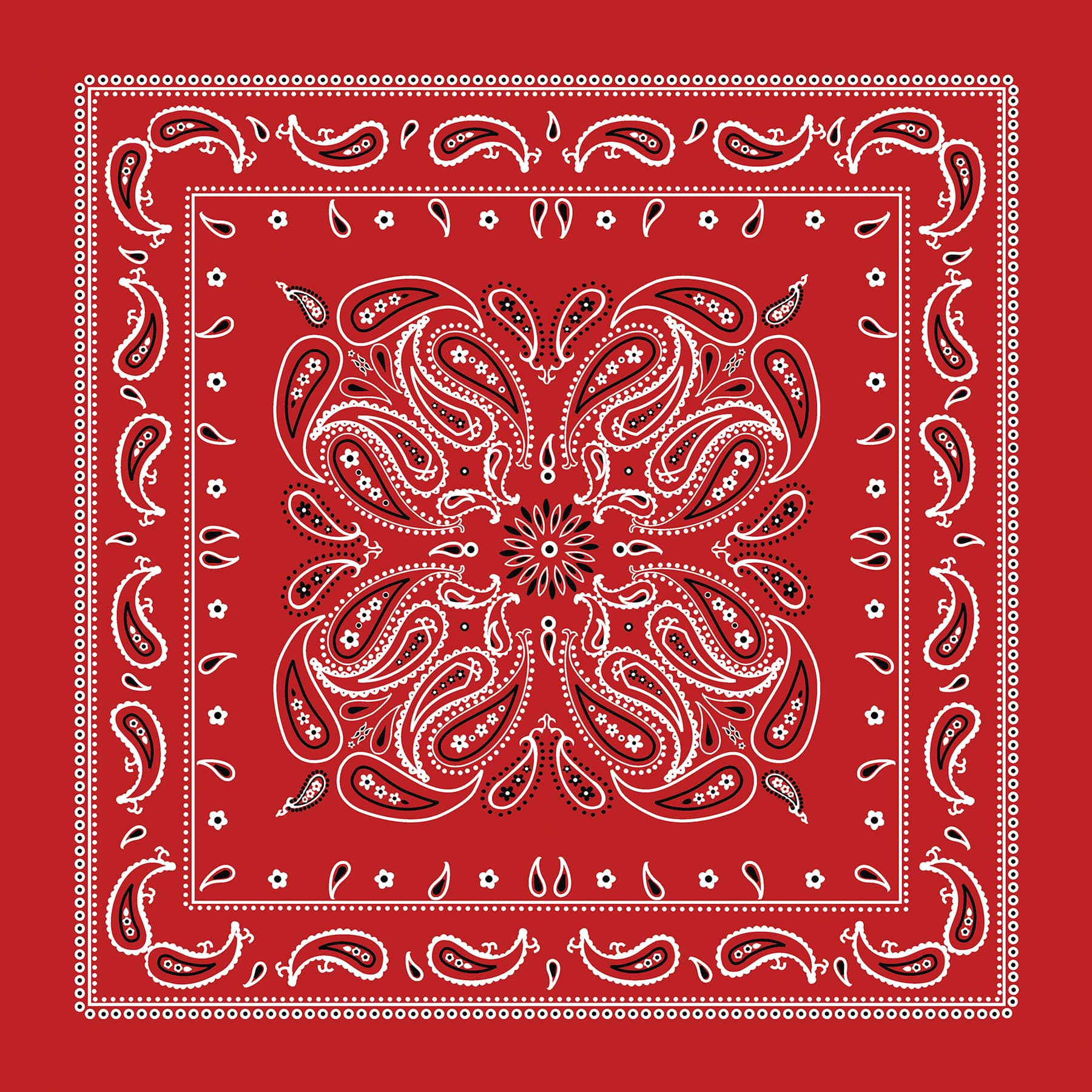 Paisley Bandana by Make Market®