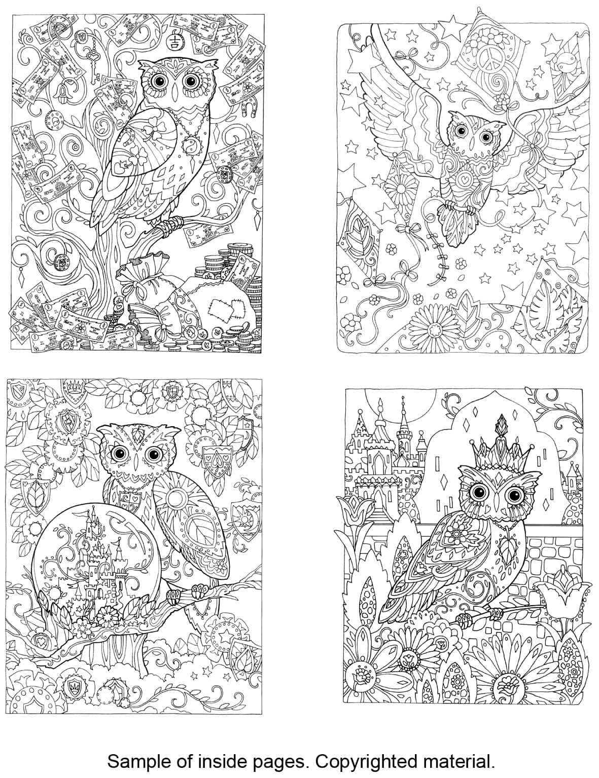 Download Creative Haven Owls Coloring Book