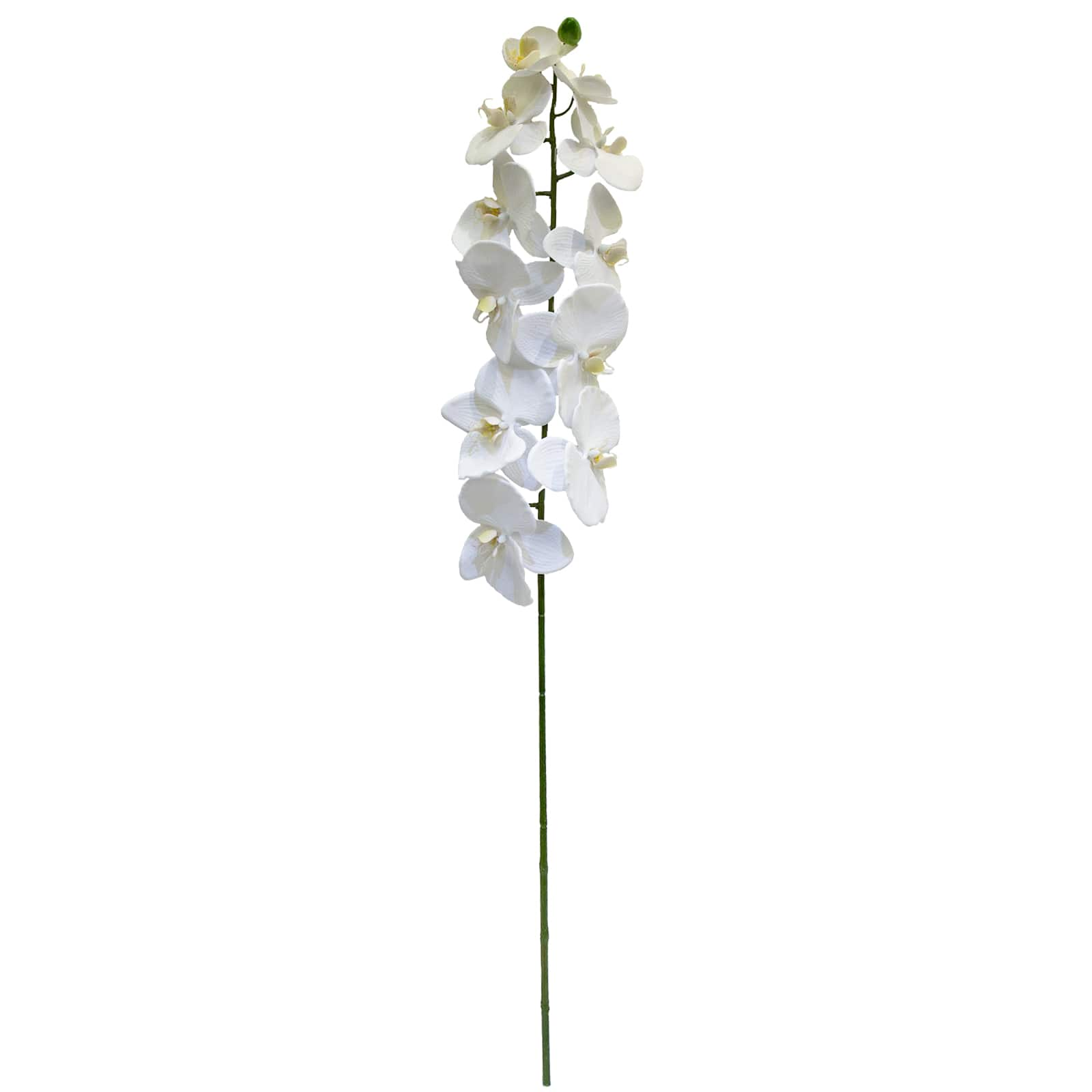 Buy The White Orchid Stem By Ashland At Michaels