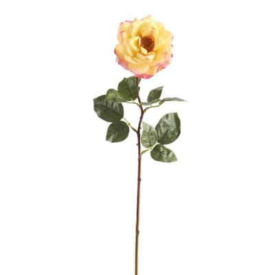 Garden Bloom Orlane Rose Stem Ashland™ image