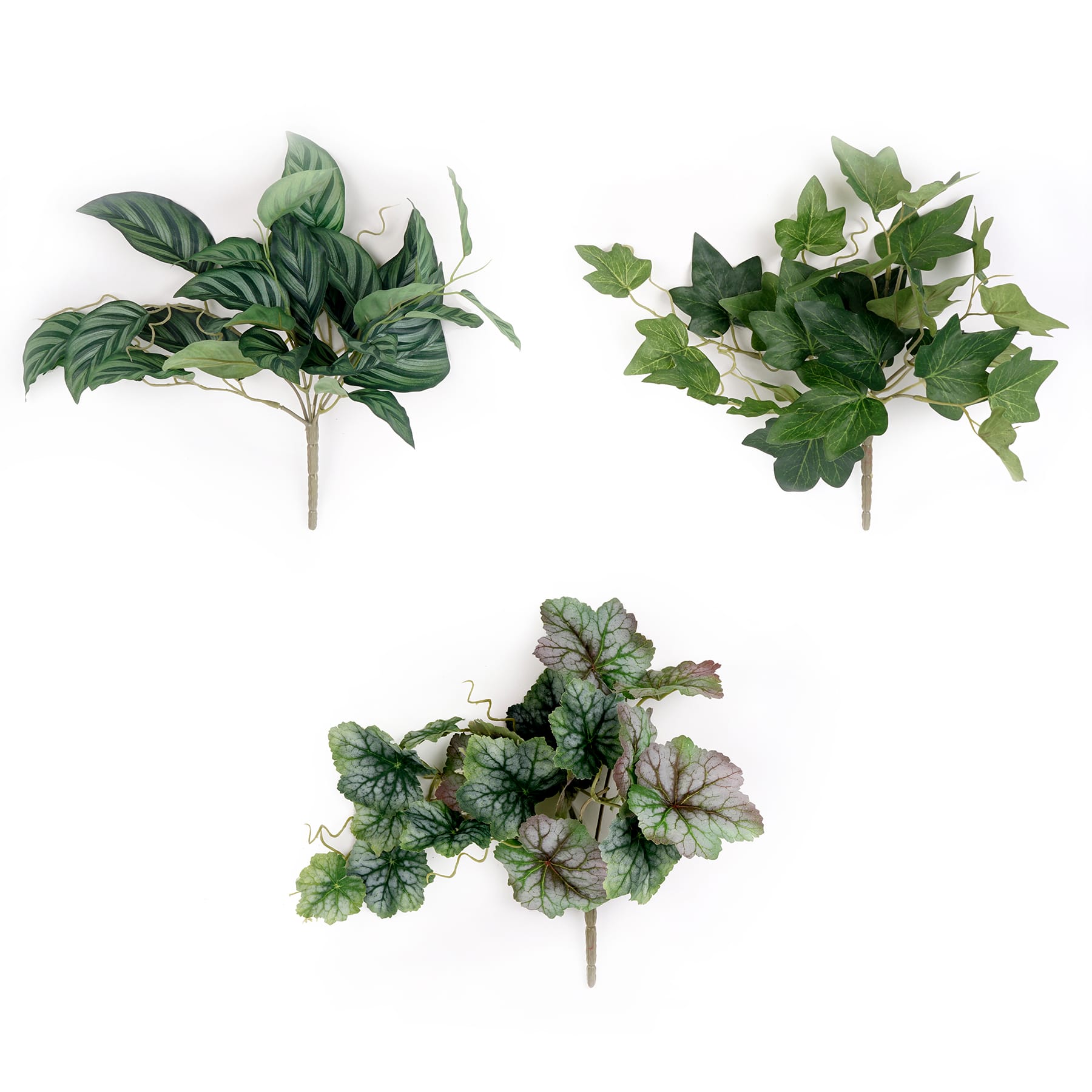 12 Pack: Assorted Ivy Leaf Pick by Ashland&#xAE;
