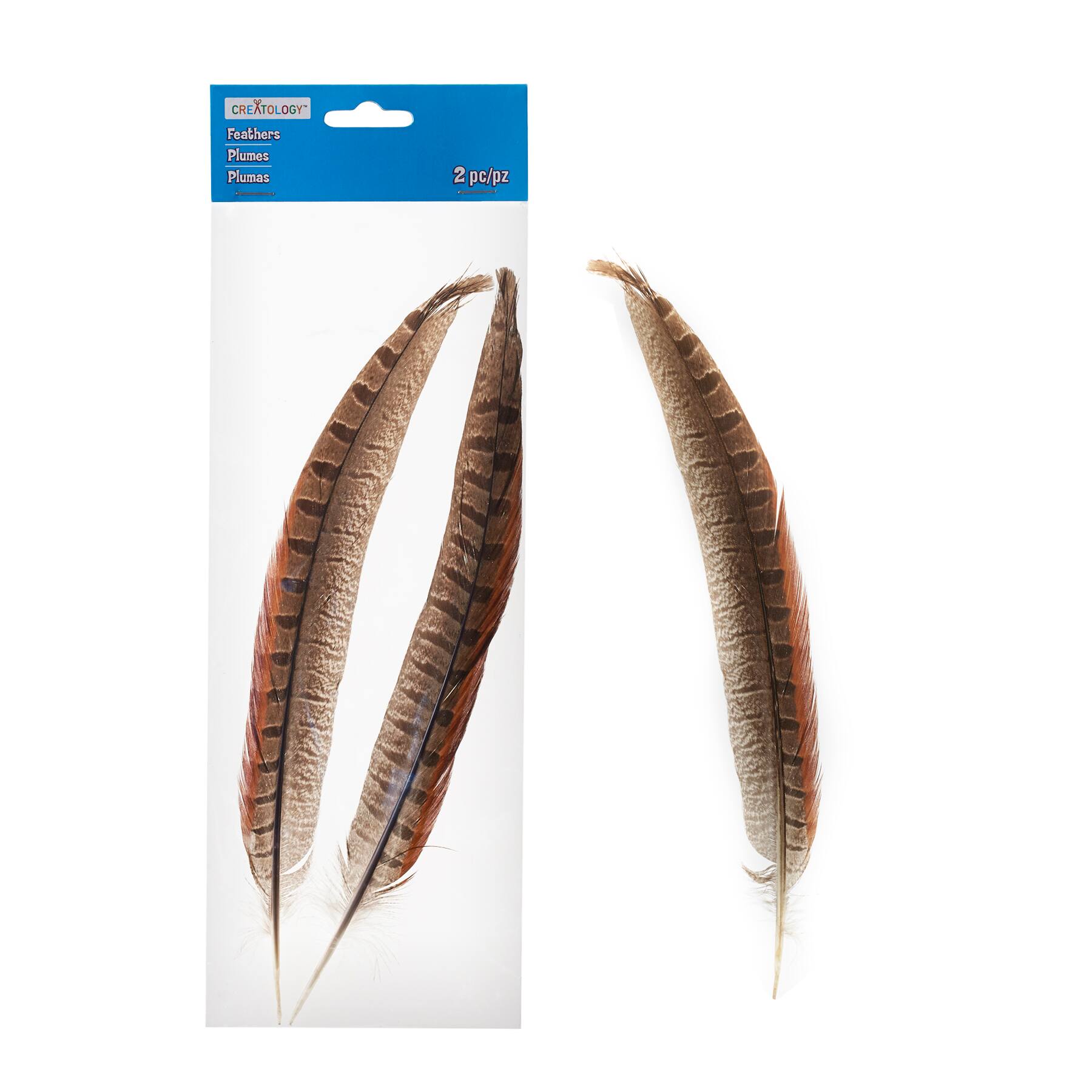 Brown Pheasant Feathers By Creatology C Brown Pheasant Feathers By Creatology C