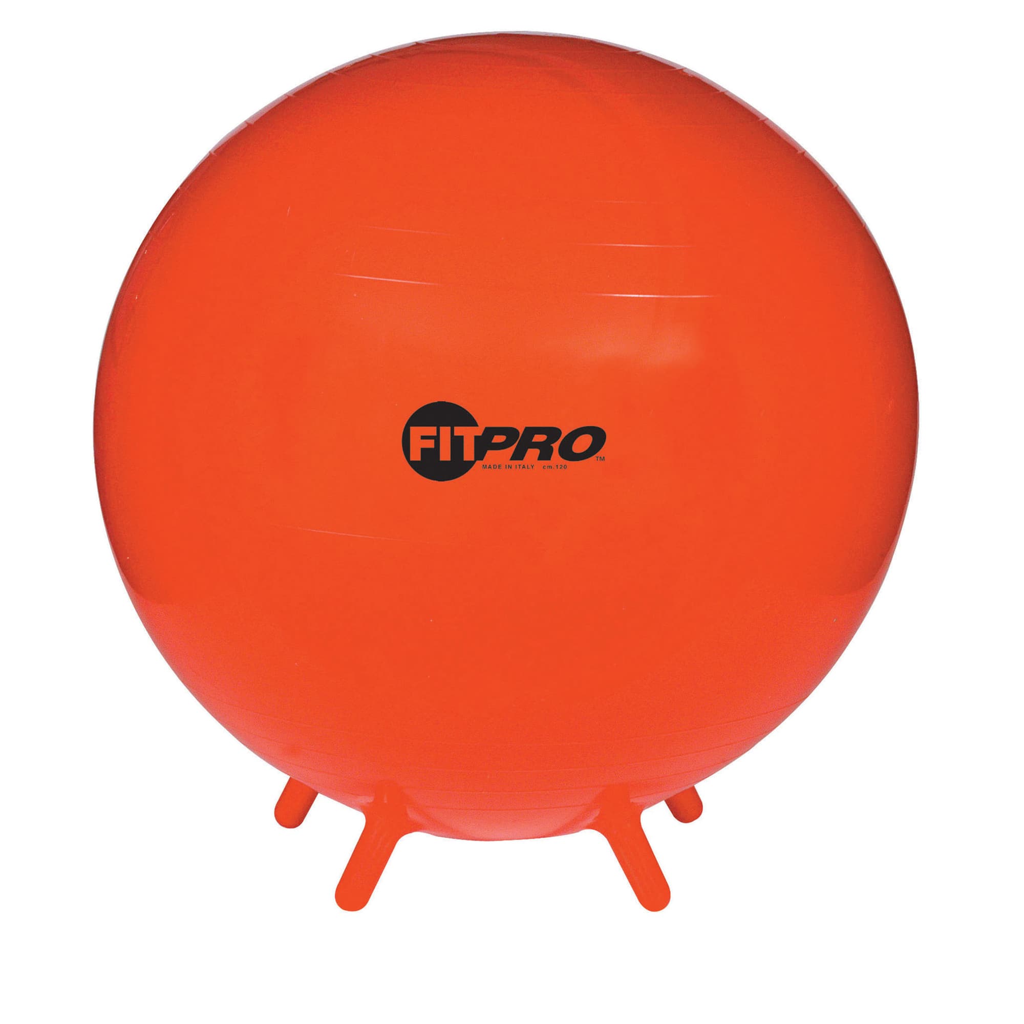 FitPro Ball with Stability Legs