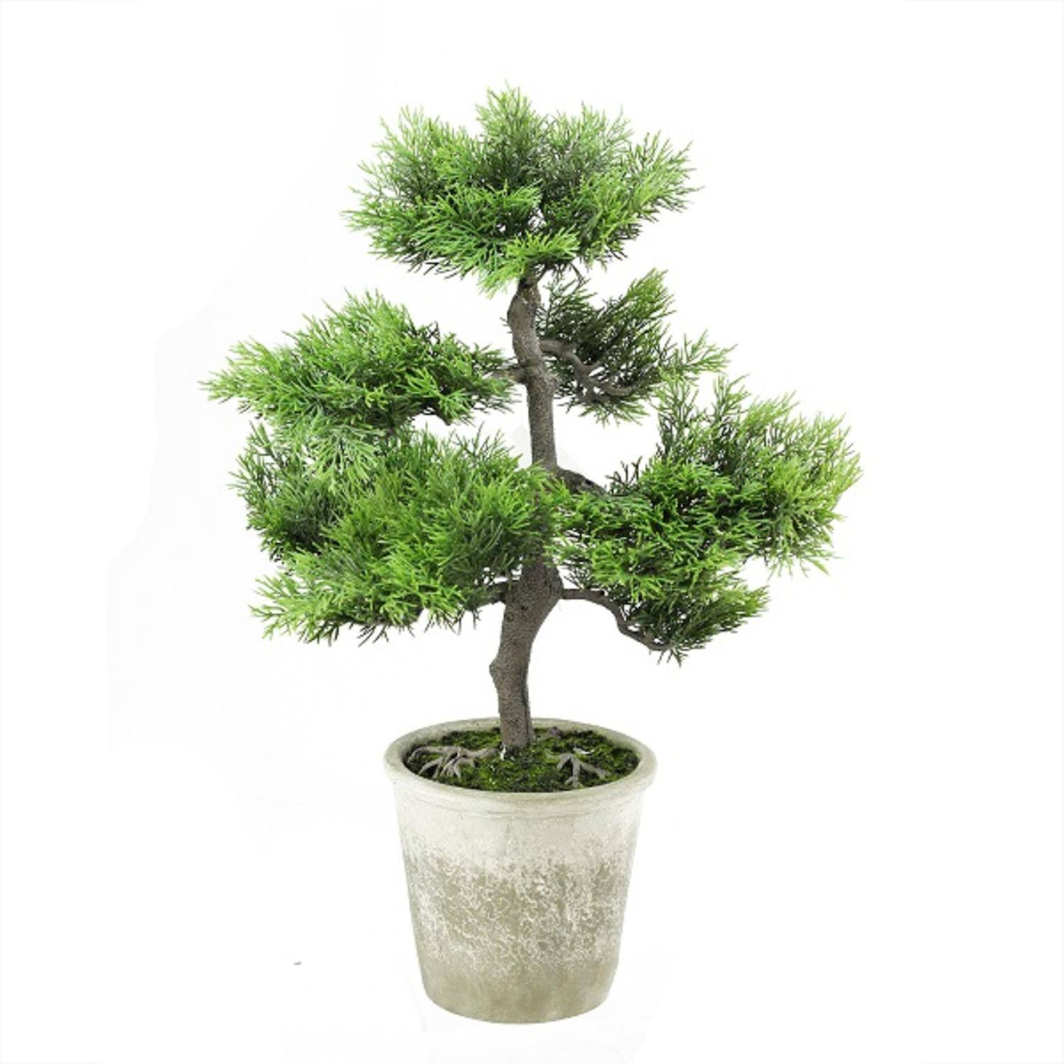 20.25" Japanese Bonsai Tree in Distressed Gray Pot