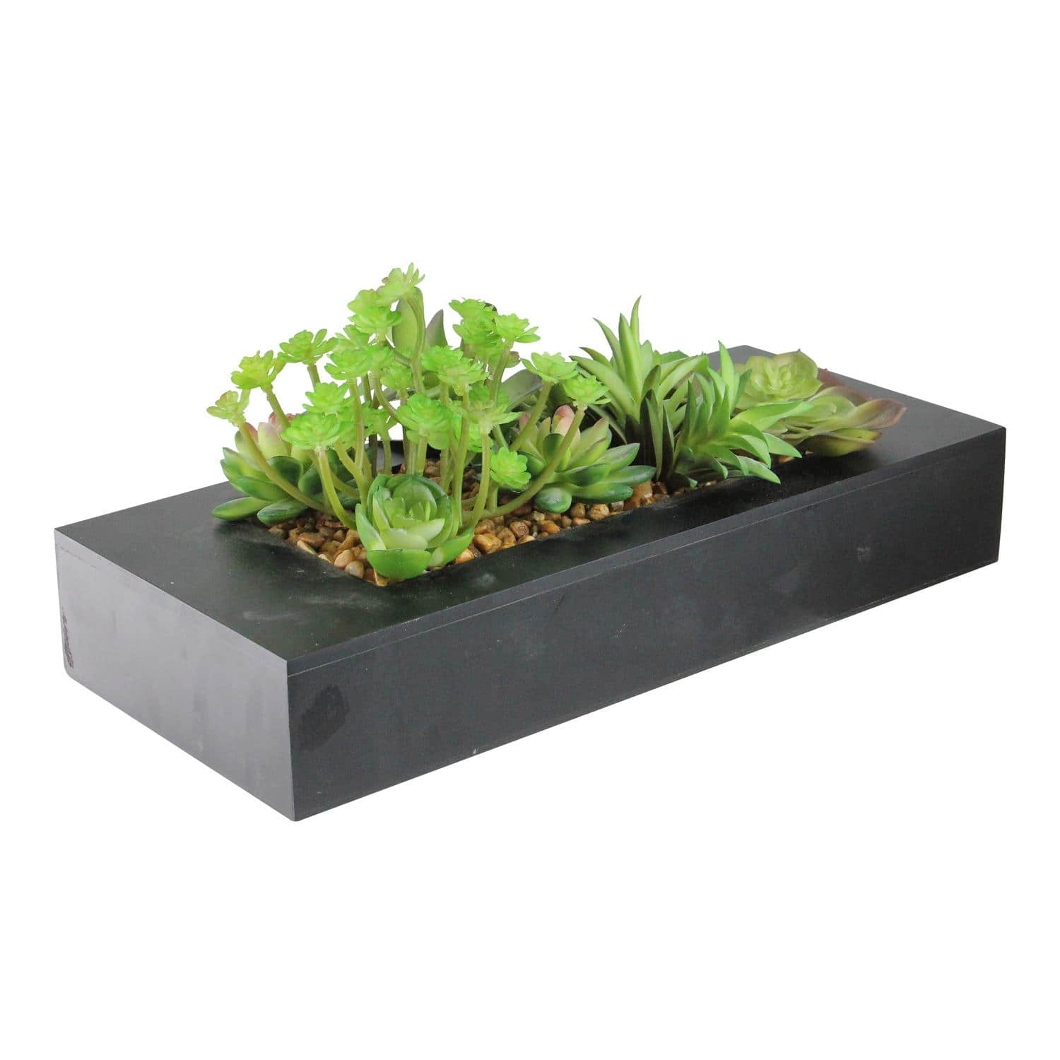 6" Artificial Succulent Plant Arrangement in Black Garden Box
