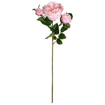 Light Pink English Rose Stem By Ashland® image