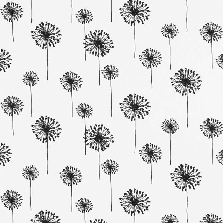 Dandelion White/Black