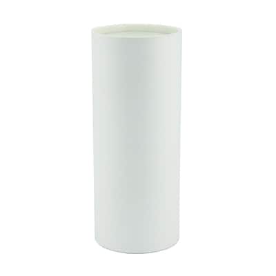 White Shipping Tube by Celebrate It™ | Michaels