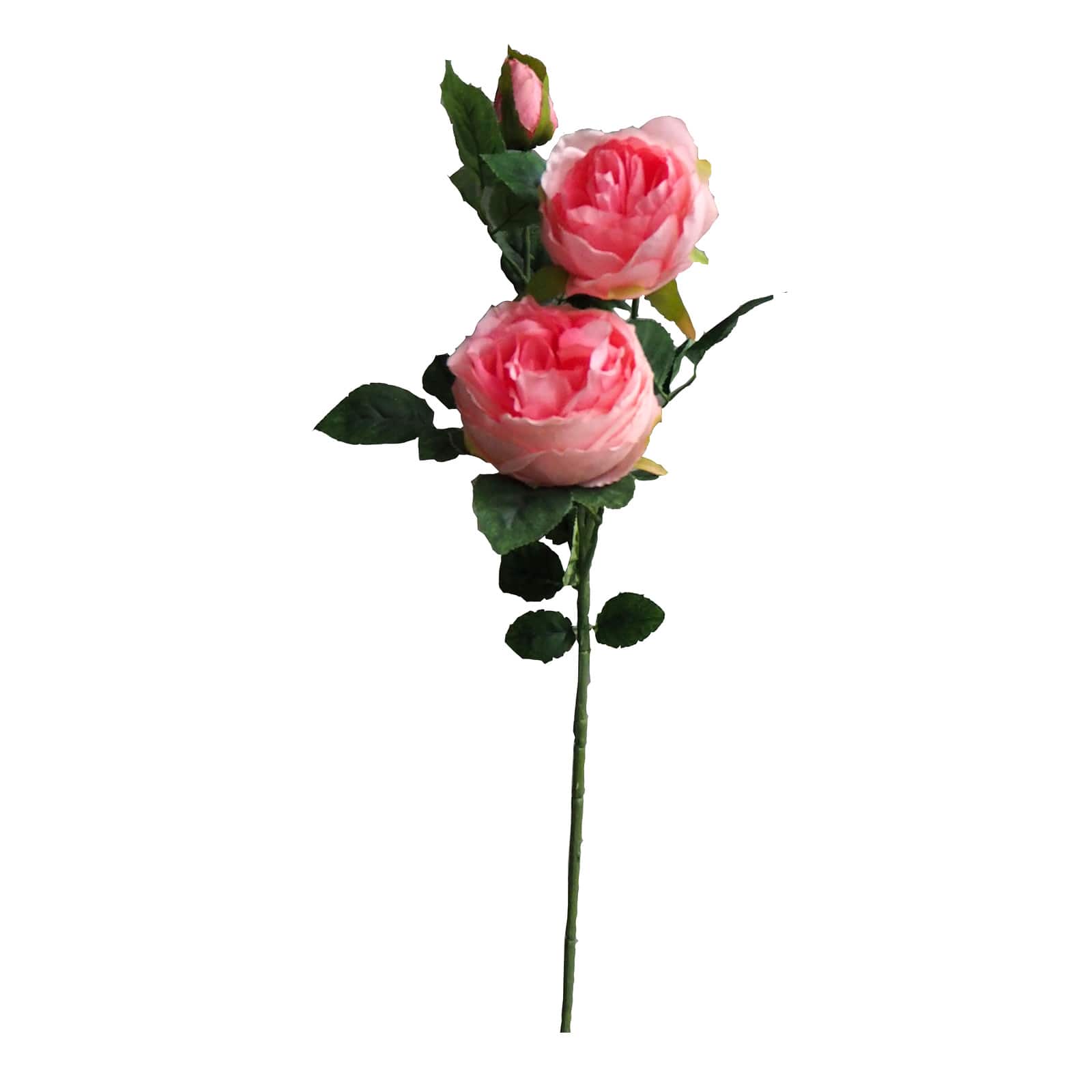 Buy the Pink English Rose Stem By Ashland® at Michaels
