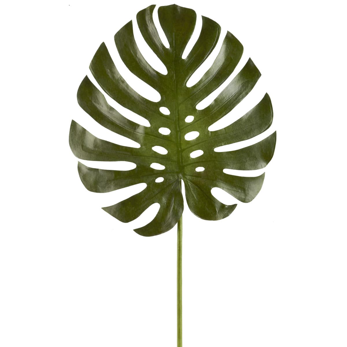 6 Pack: Green Monstera Leaf Stem by Ashland®