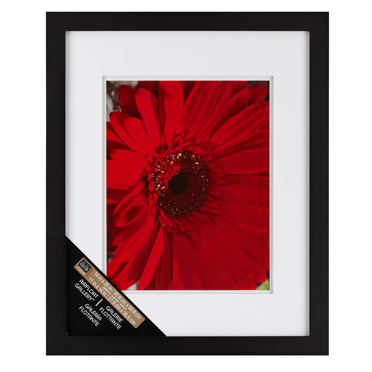 Gallery Black Wall Frame with Double Mat by Studio Décor®