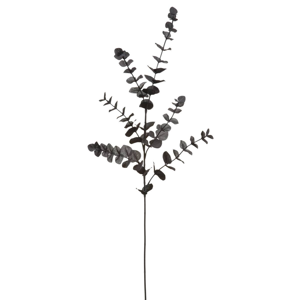 12 Pack: Black Eucalyptus Spray by Ashland®