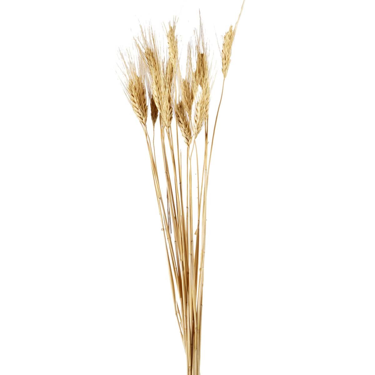 wheat bundle silhouette