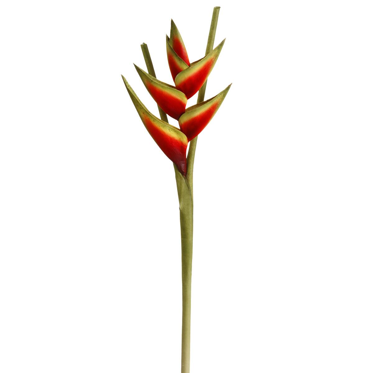 Ashland® Floral Essentials Heliconia Stem