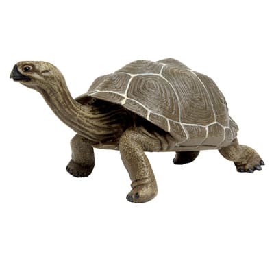 Safari Ltd® Galapagos Tortoise | Michaels