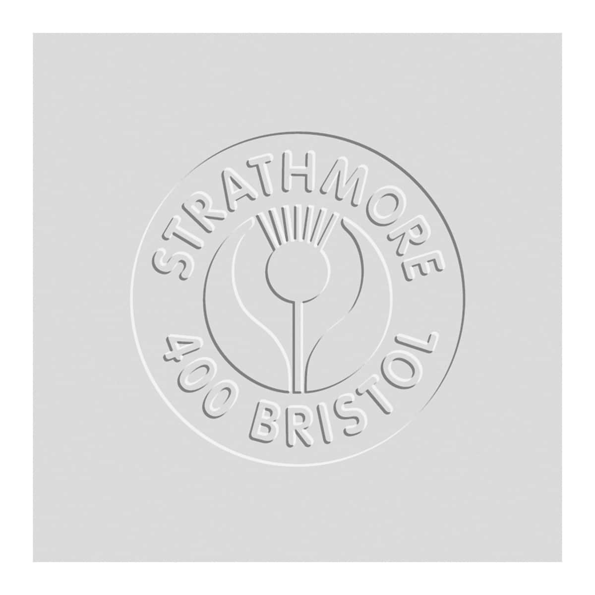 Strathmore® 400 Series Large Bristol Vellum Sheet