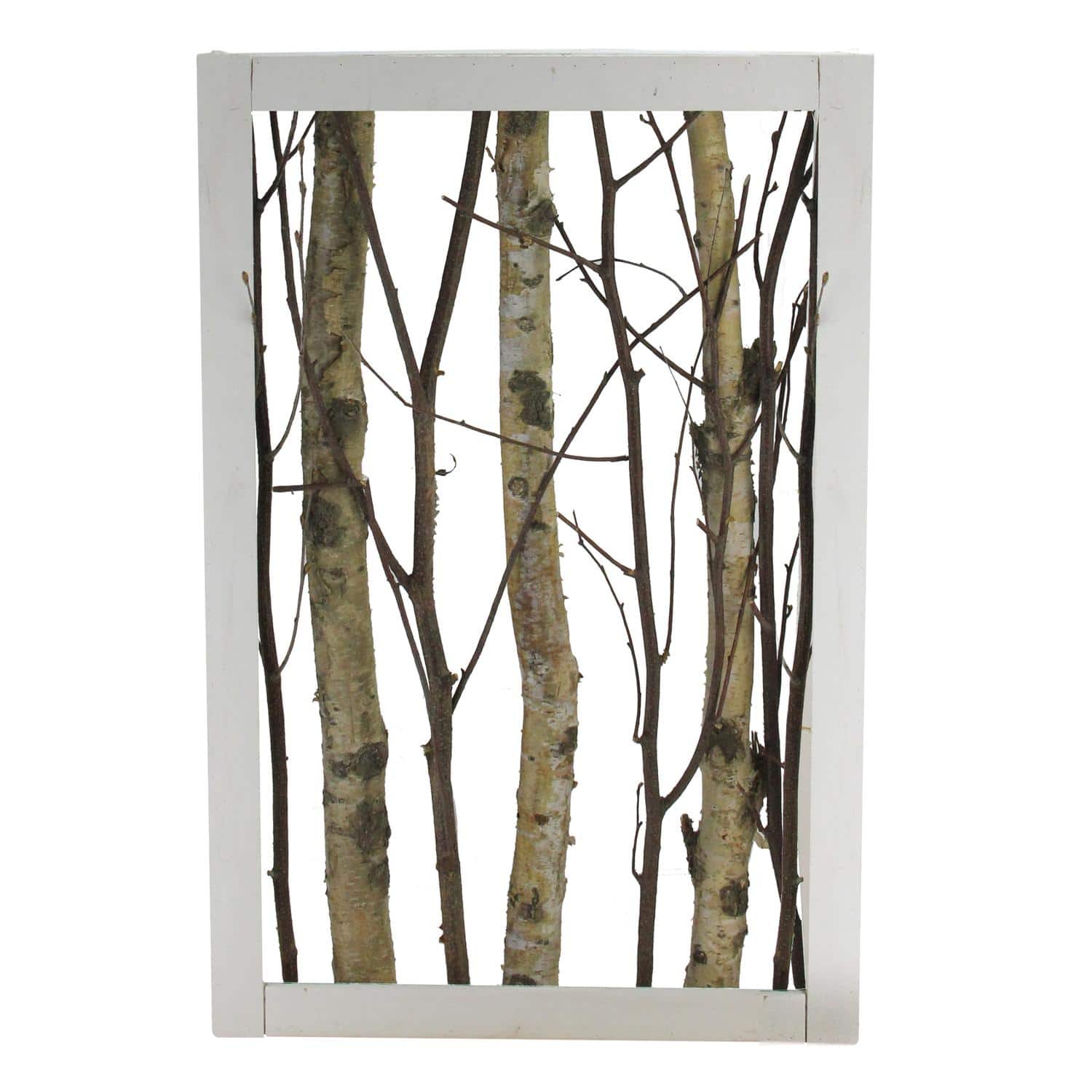 22.5" Mixed Branches in White Wood Frame