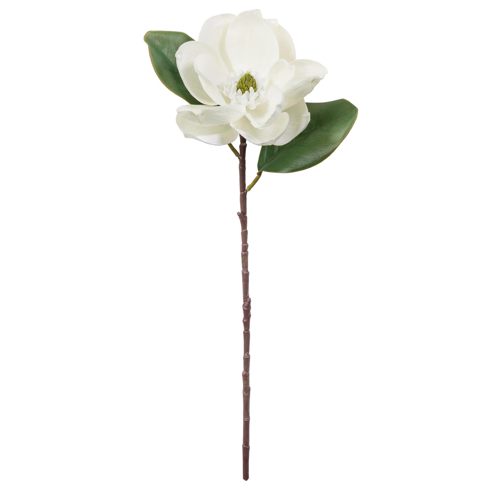 White Magnolia Stem by Ashland&#xAE;