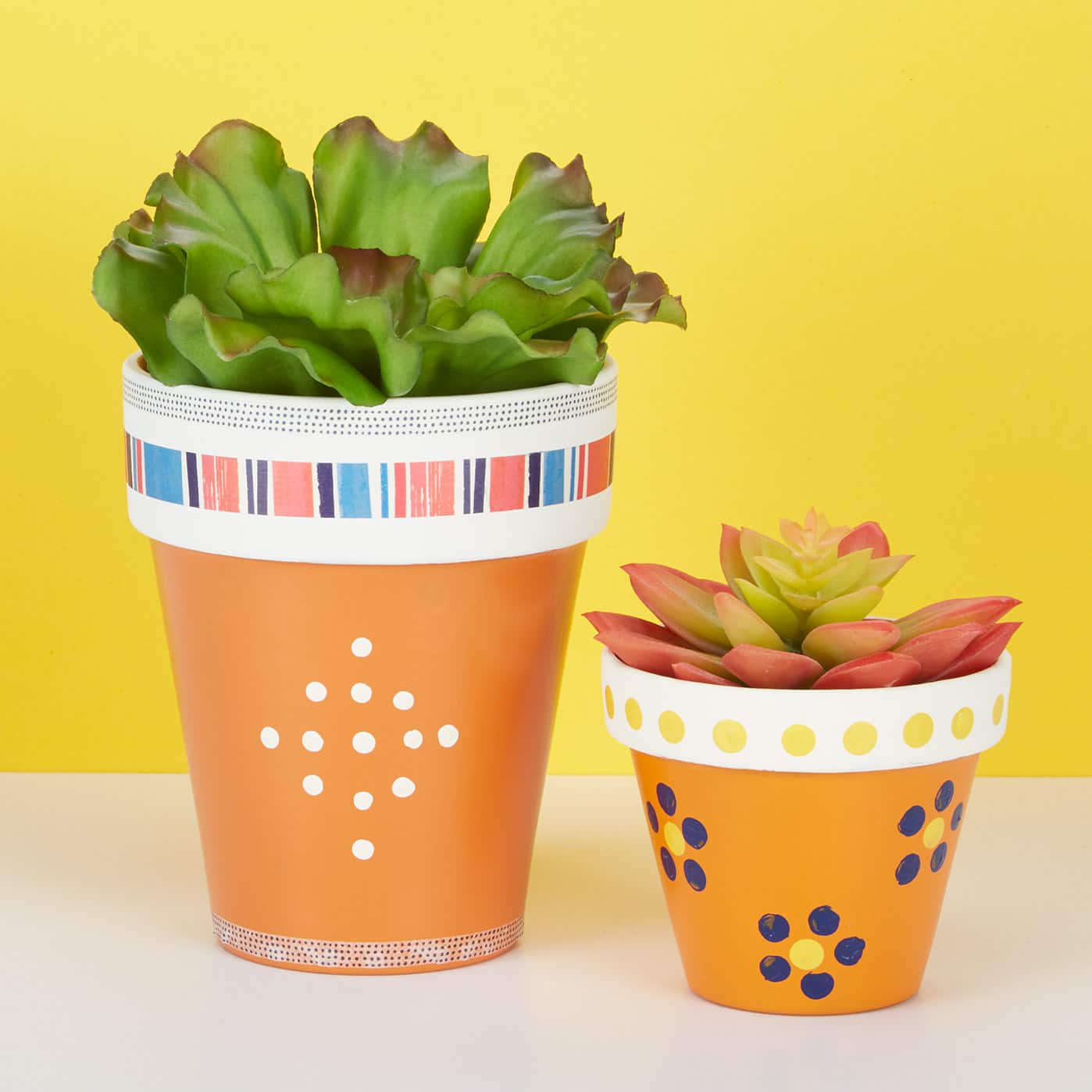 Colorful Clay Pot