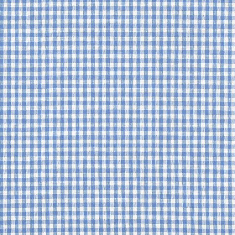 1/8" Blue Gingham
