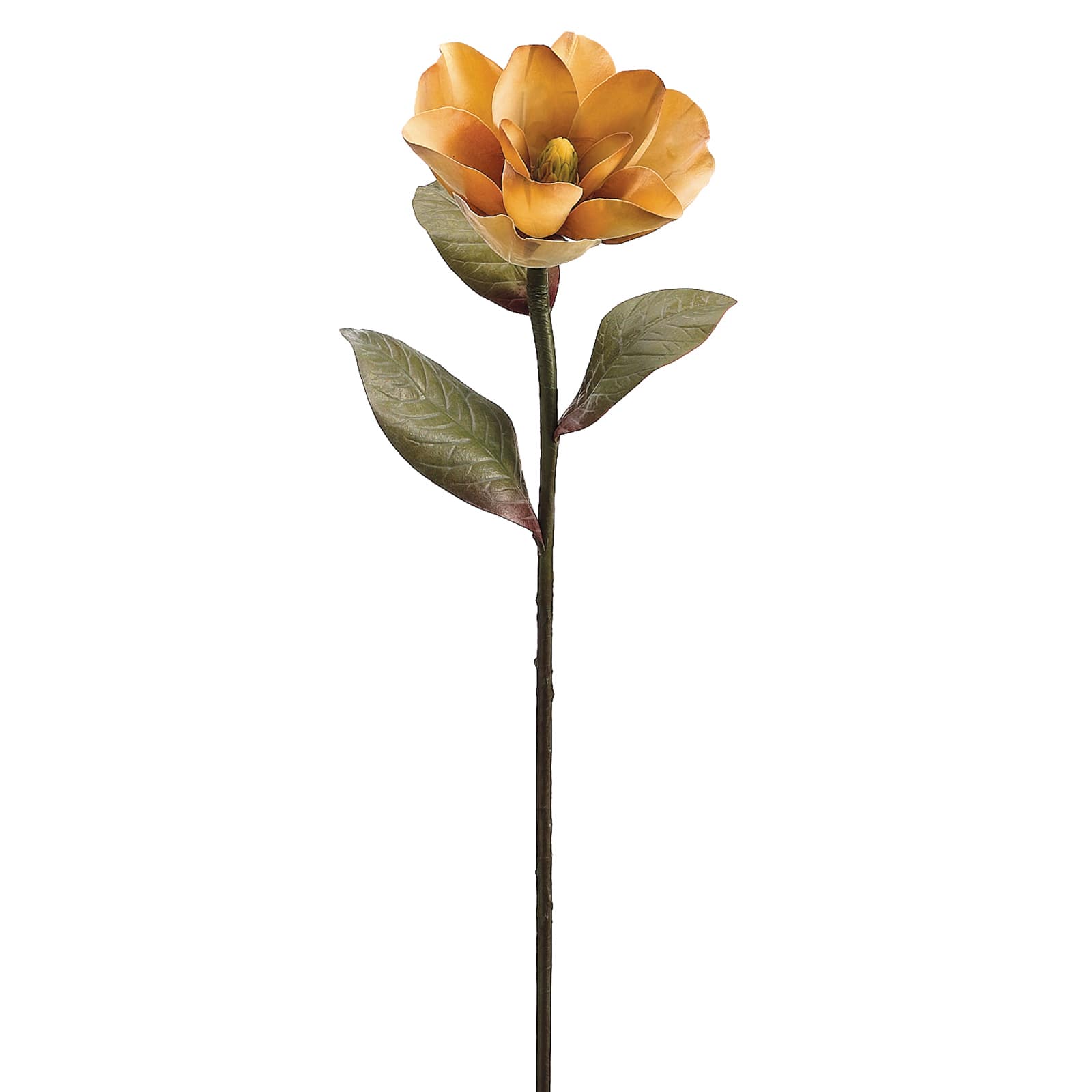 34&#x22; Magnolia Stem, Yellow