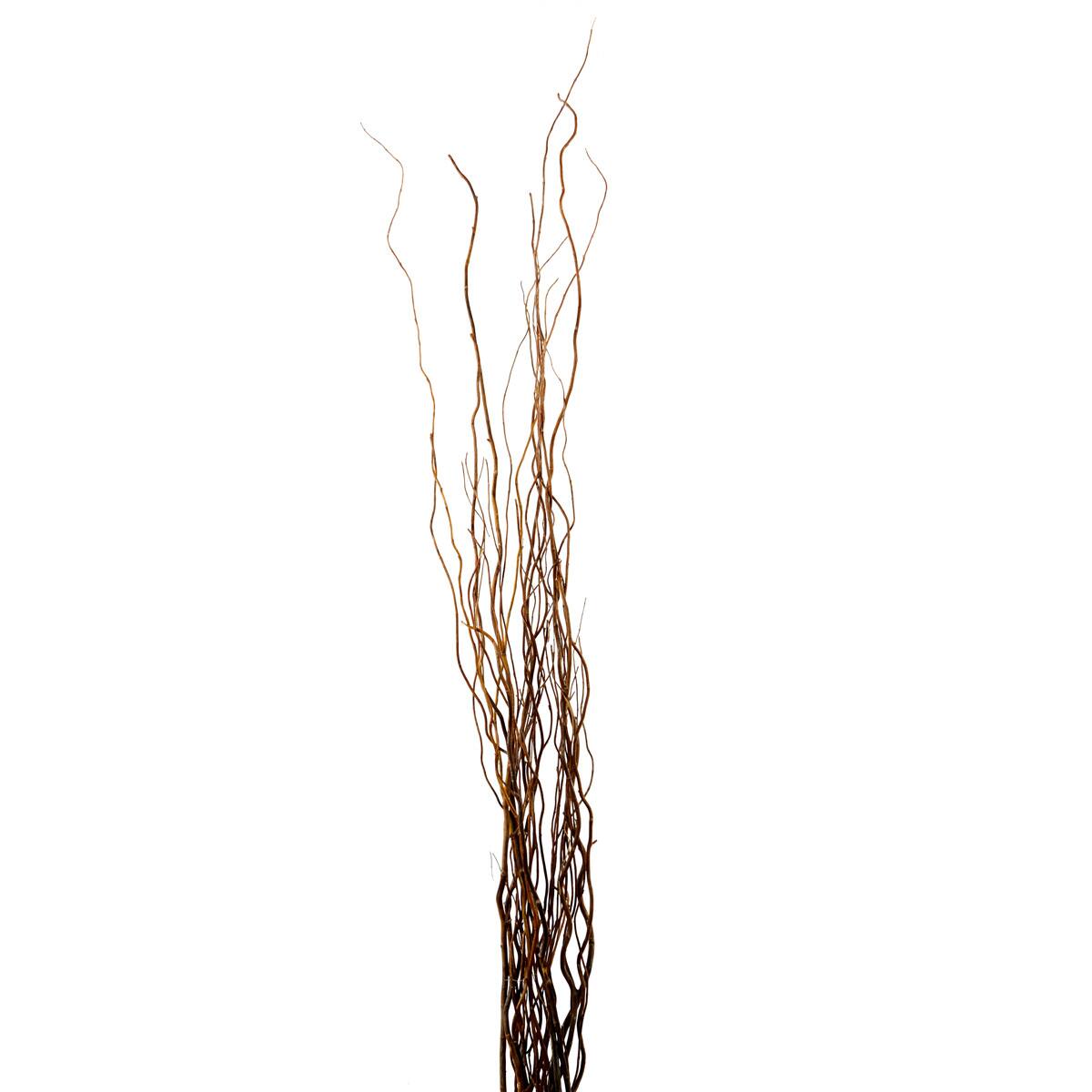 Natural Curly Willow by Ashland®
