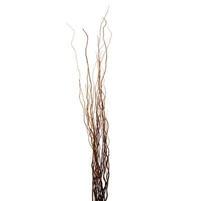 Ashland® Natural Curly Willow image