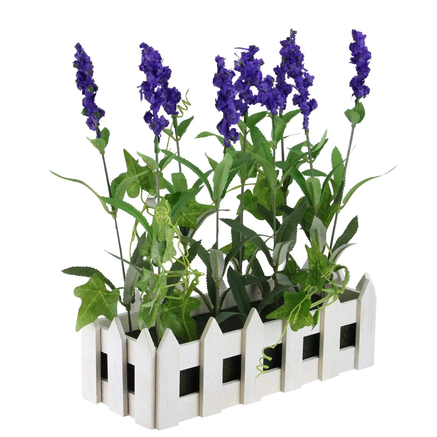 11.75" Lavender Plant in White Picket Fence Container