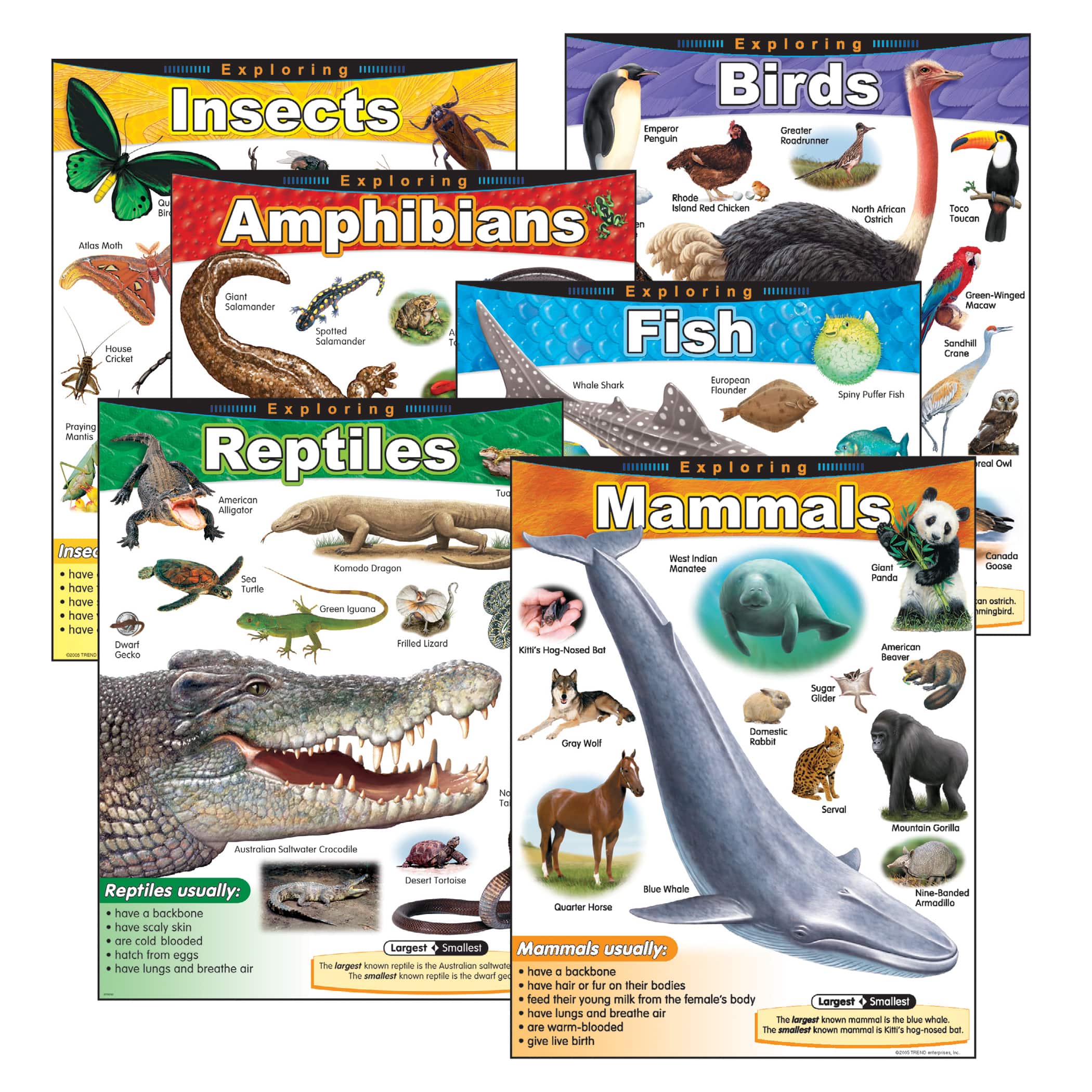 Mammals Chart