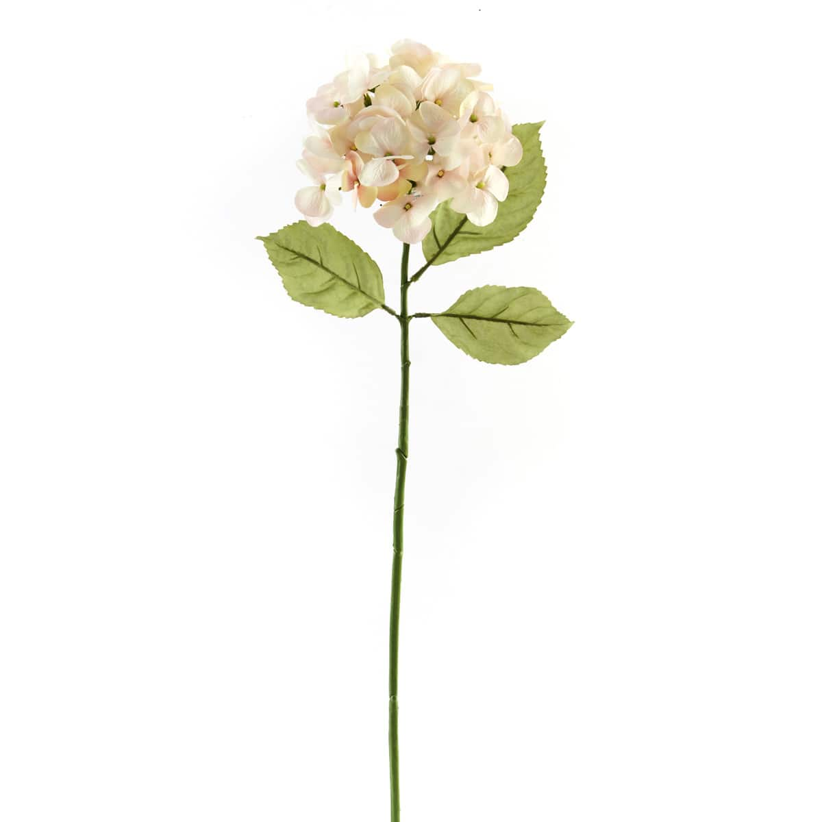 Ashland® Hydrangea Stem, 29.5