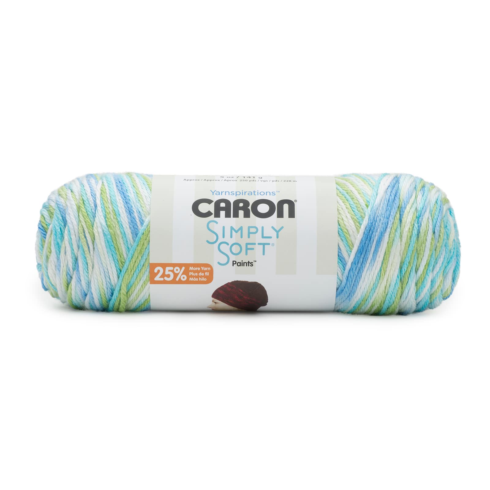 Caron® Simply Soft® Paints® Yarn