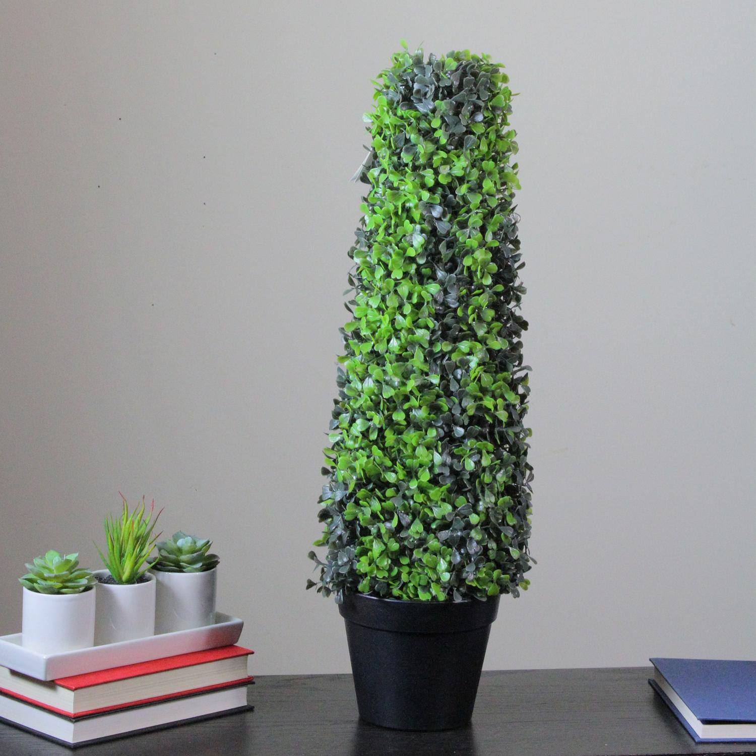 25" Two Toned Conical Shaped Potted Shrub Topiary