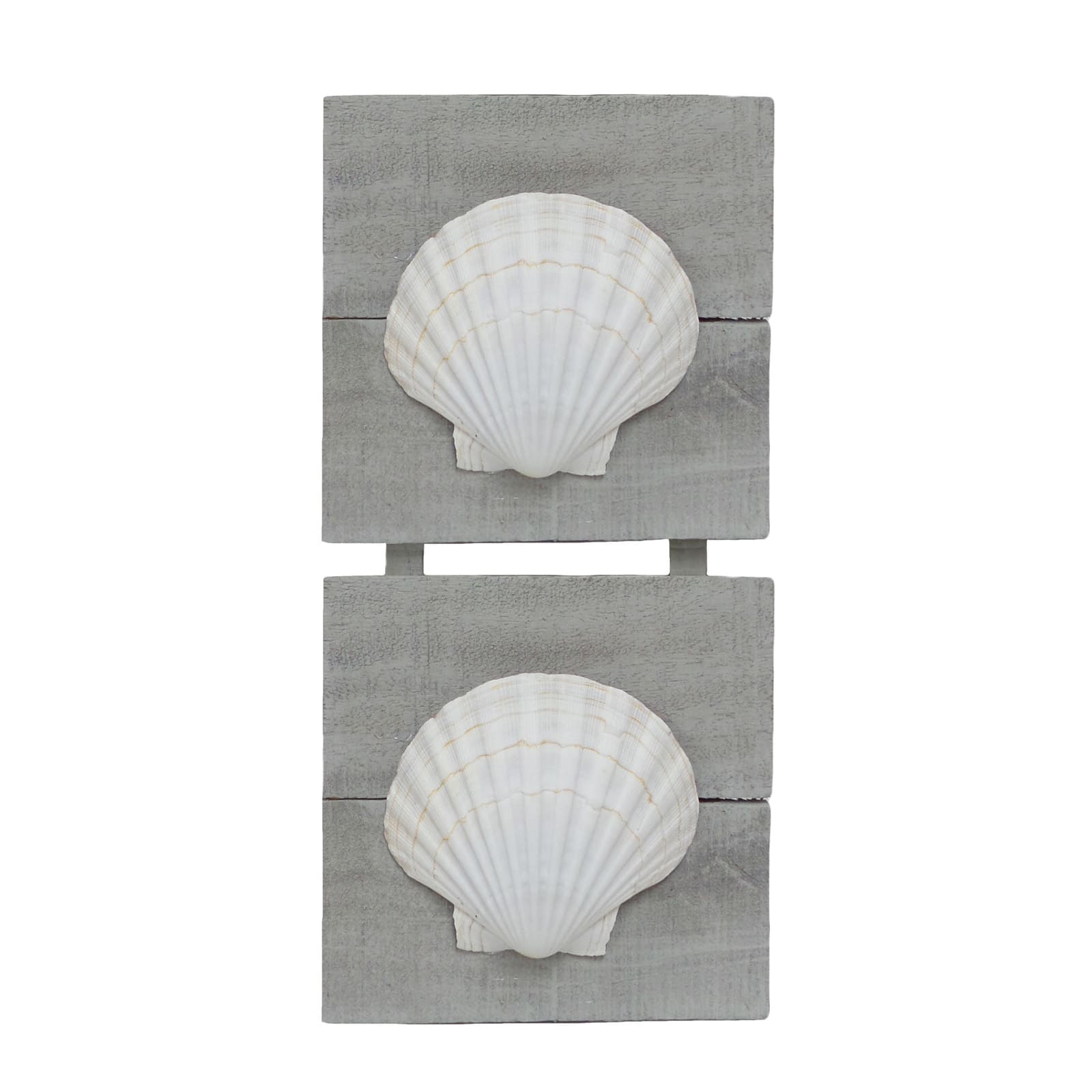 U.S. Shell Irish Deep Shell