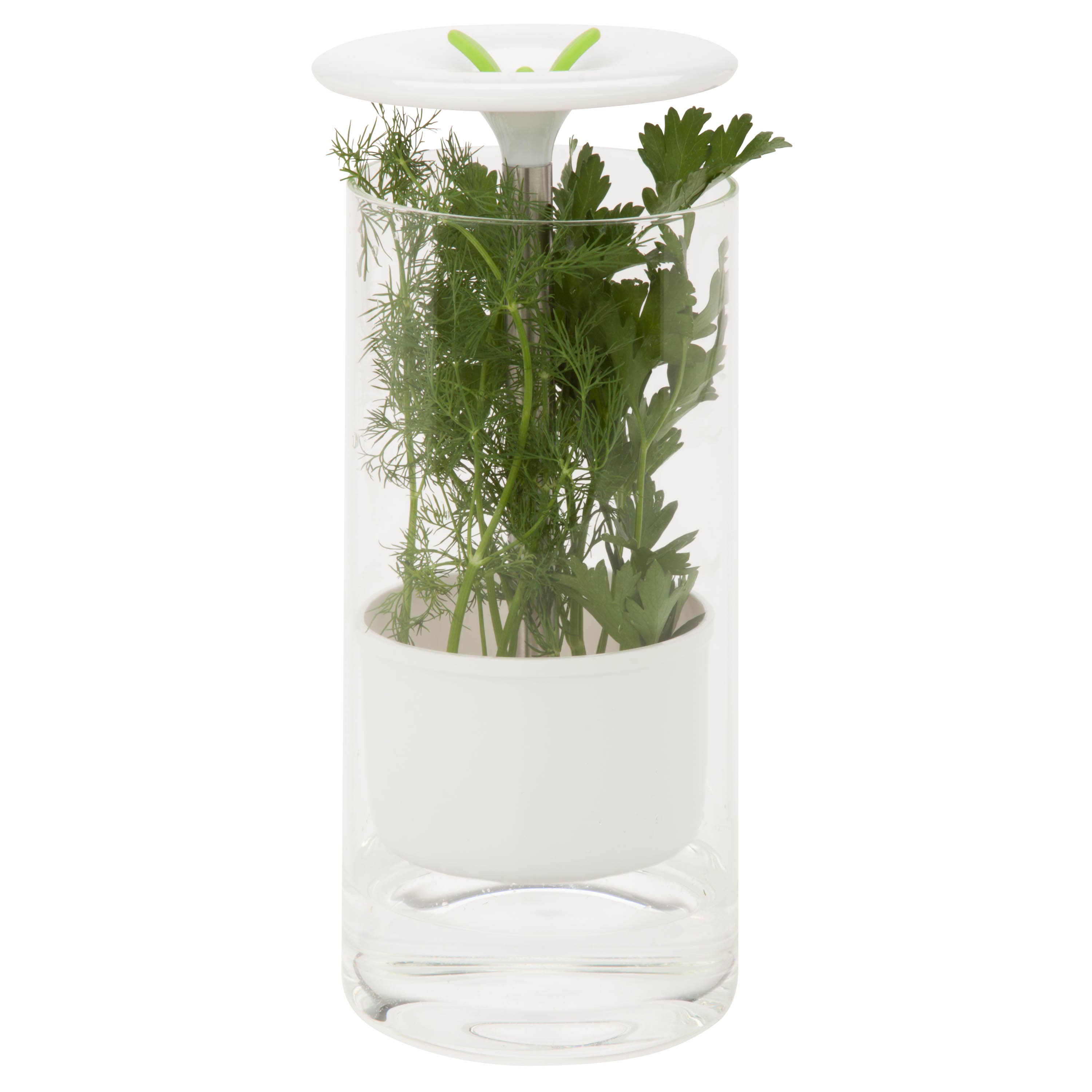 Honey Can Do Clear & White Herb Preserver