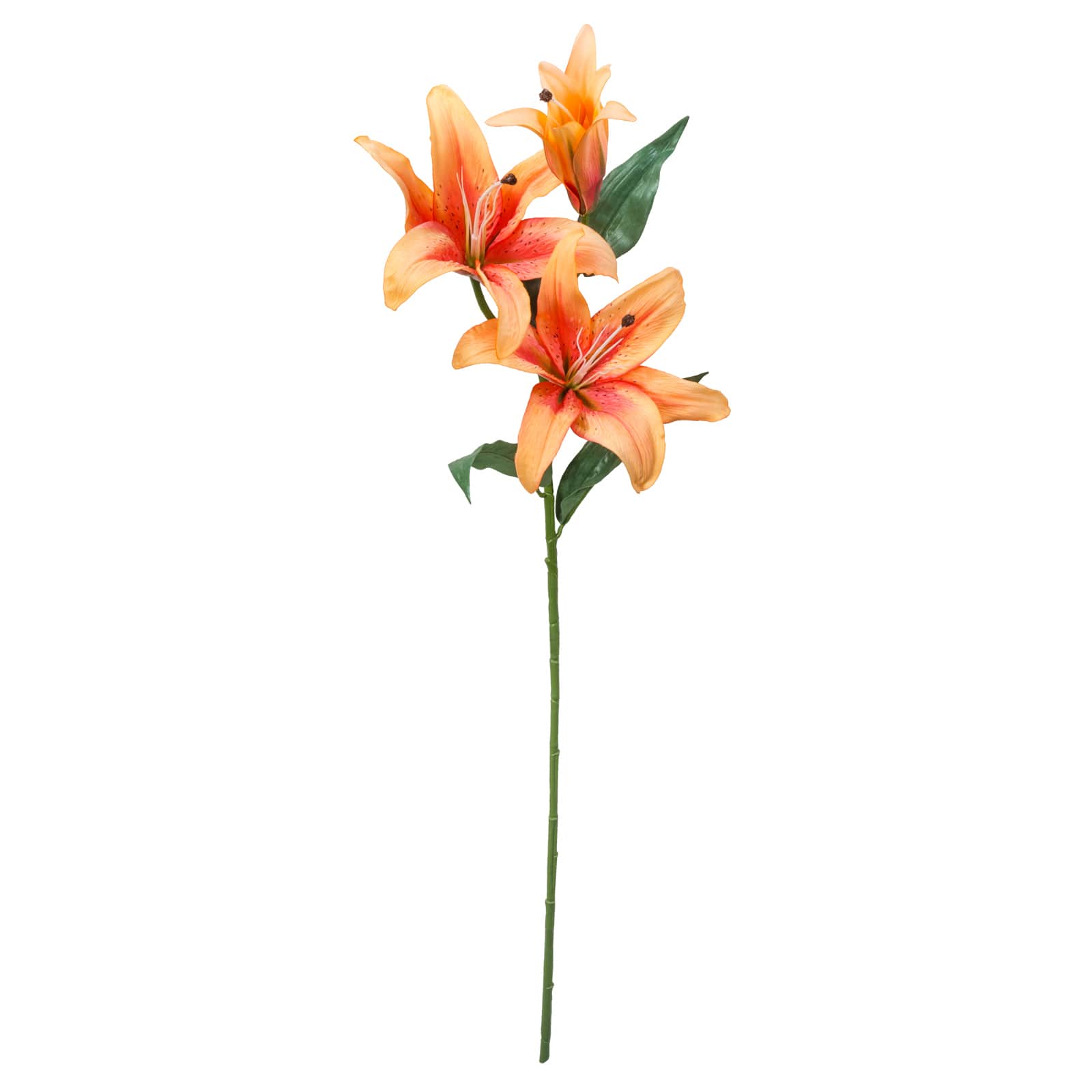 Casablanca Lily Stem by Ashland&#xAE;