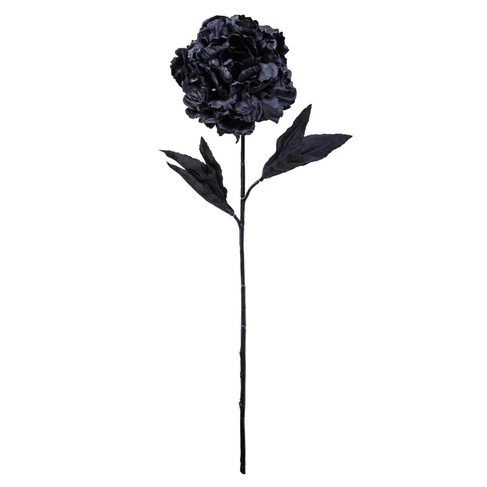 Peony Stem by Ashland®